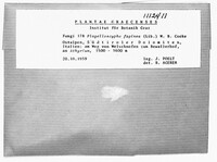 Image Associated With the Occurence